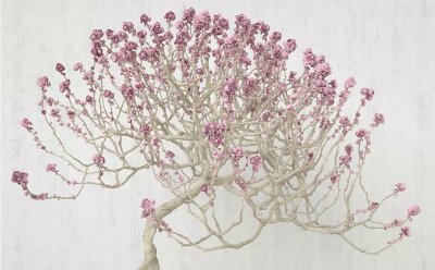 фотообои Цветение розовой вишни