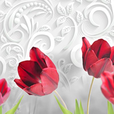 фотообои Алые тюльпаны 3Д