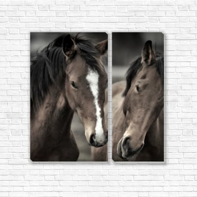 модульные картины Две лошади