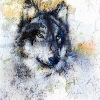 фотообои Волк фреска
