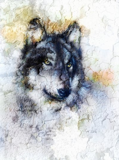 фотообои Волк фреска